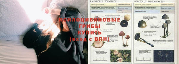 сатива Касимов