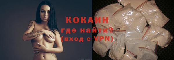 сатива Касимов